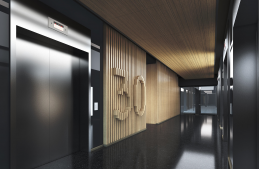 גיבור קומה 30 לובי